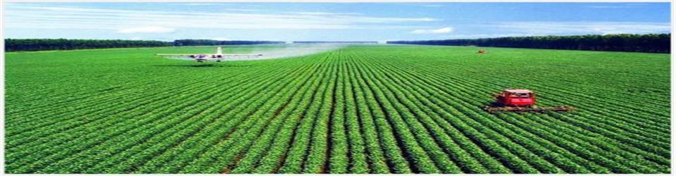 SHANXI TIANJI NITRATE FERTILIZER CO. LTD.